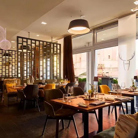 Platzhirsch 4* Fulda