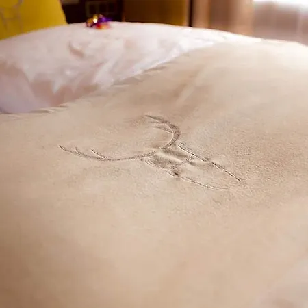 Hotel Platzhirsch 4*