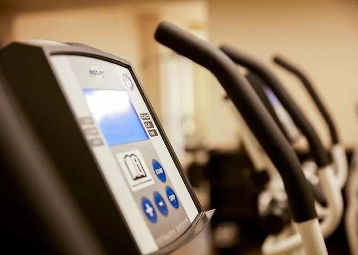 Platzhirsch Hotel Fulda